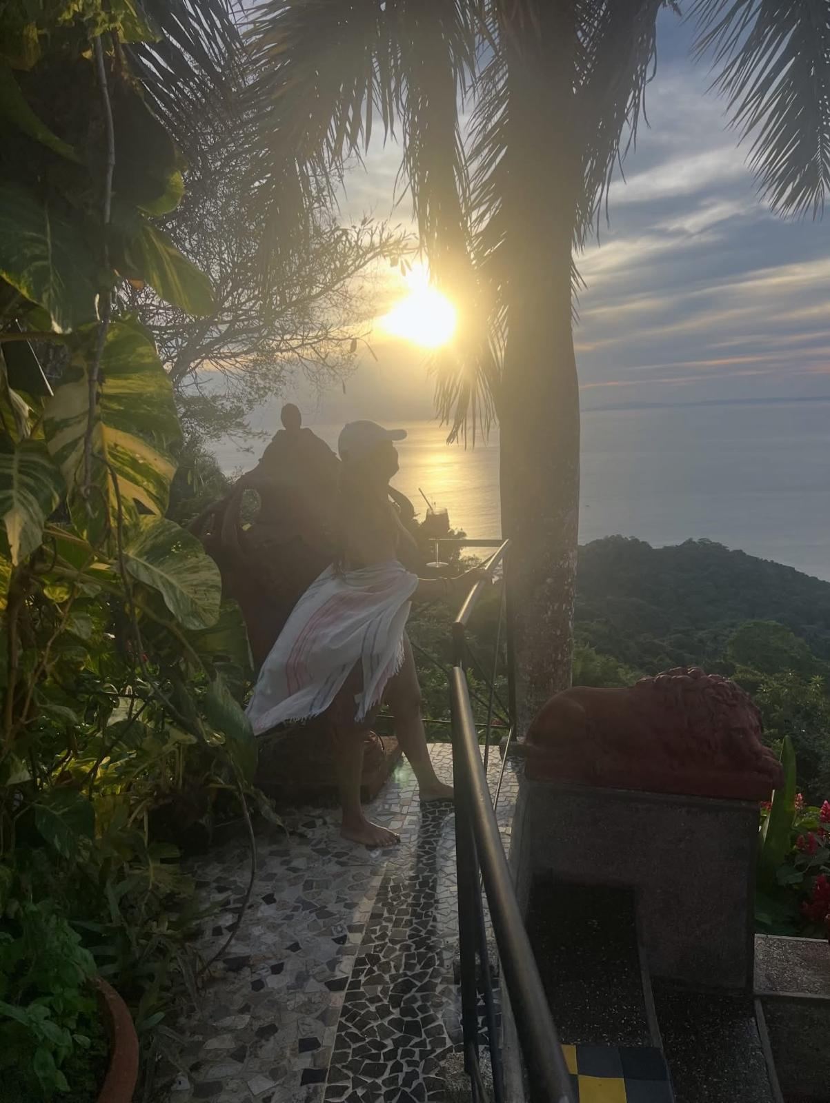 Jungle life in the tropics