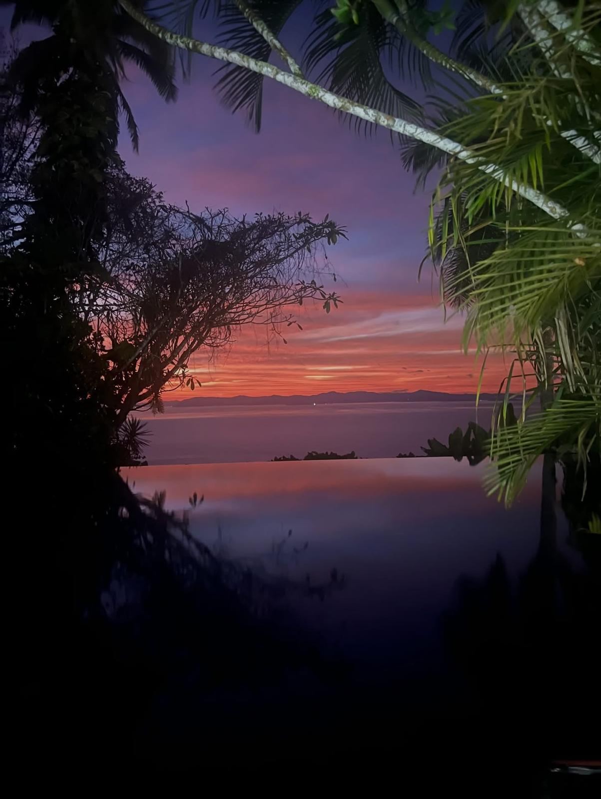 Life in the tropics, full size