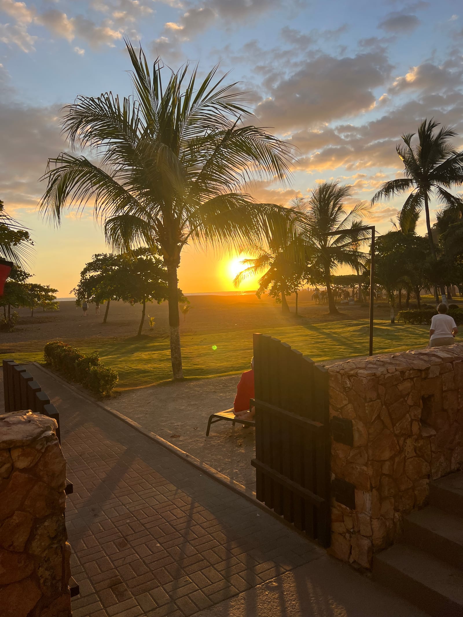 Life in the tropics, full size