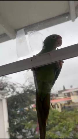Life across Costa Rica, Nicaragua, and Panama
