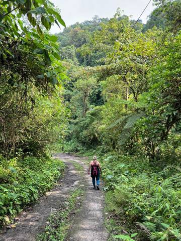 Life in the tropics: Costa Rica, Nicaragua, and Panama
