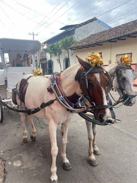 Life in the tropics: Costa Rica, Nicaragua, and Panama