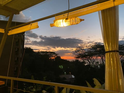 Life in the tropics: Costa Rica, Nicaragua, and Panama